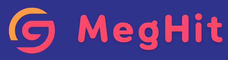 MegHit Search Agency